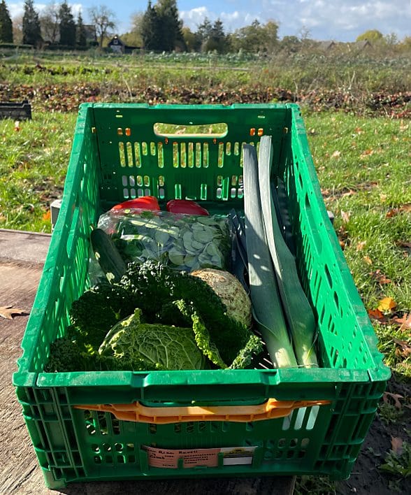 Een krat met een biologisch dynamisch geteeld groentepakket van De Zonnegaard, buiten in de zon met het land op de achtergrond.