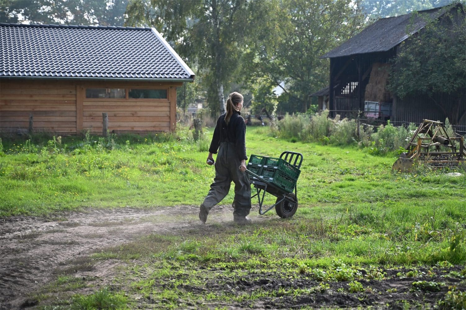 Sfeervolle indruk van het werkzame leven op het boerenerf van De Zonnegaard. Een medewerkster loopt met een kruiwagen met kratten waarin oogst zit.